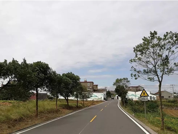 美丽乡村道路工程施工 美丽乡村道路2.jpg